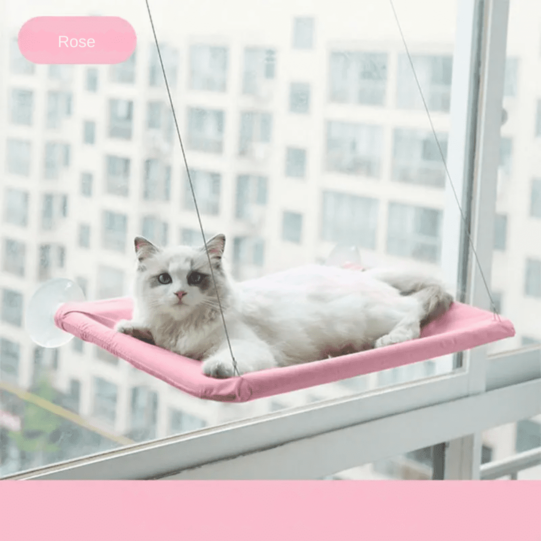 Cat Hanging Bed